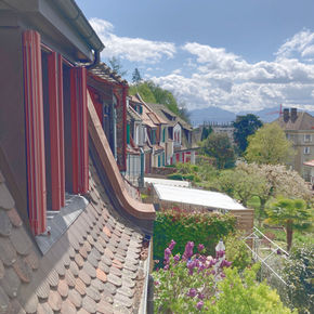Rénovation énergétique
Assainissement
Sauvegarde patrimoine
monument historique
Vaud
Renens

