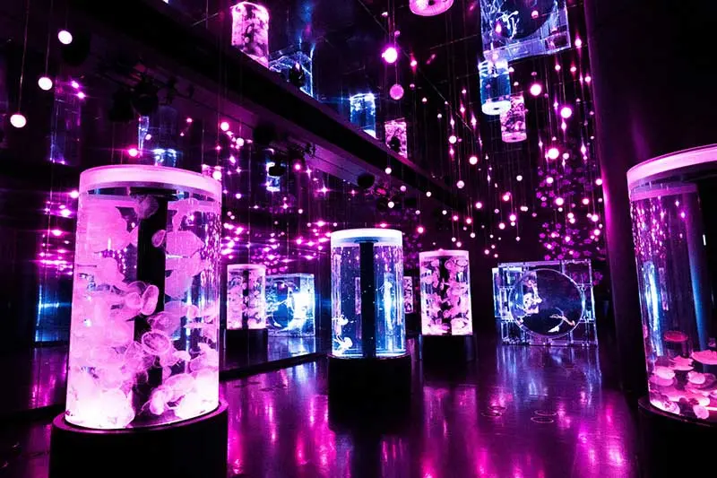 搖搖晃晃的水母和聲光的大空間。
日本樂器的優雅音色與櫻花色燈光襯托出水母們的魅力