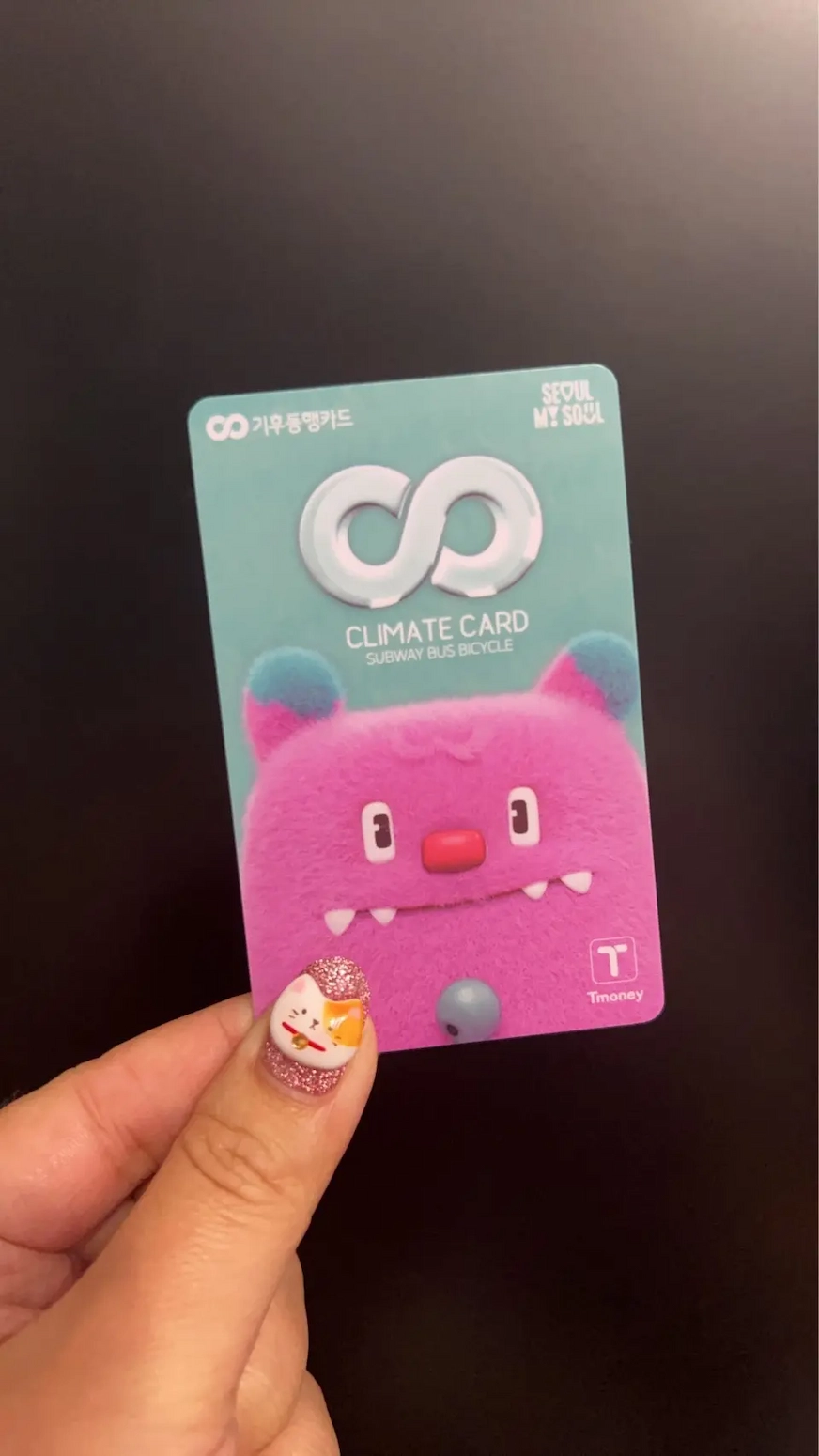 2026韓國最新推出的首爾氣候同行卡