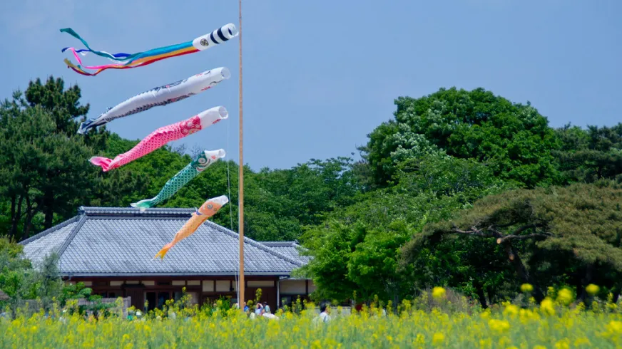 日本兒童節節慶點心柏餅與鯉魚旗裝飾東京黃金週活動