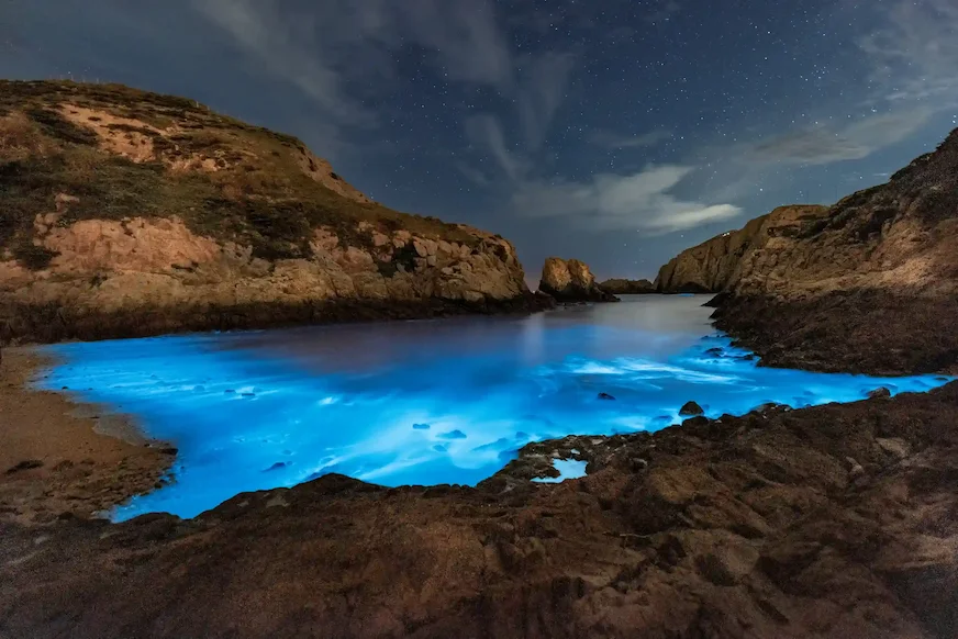 一整片夜色下的馬祖藍眼淚