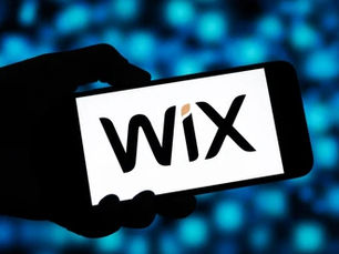 Why do I recommend Wix for your business?