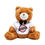 Thumbnail: Streetnoise Teddy Bear Plush with Logo T-Shirt
