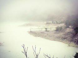 Kawah Putih's Mist