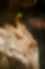 IMG_7629_Nero_AI_Image_Upscaler_Photo_Face.jpeg