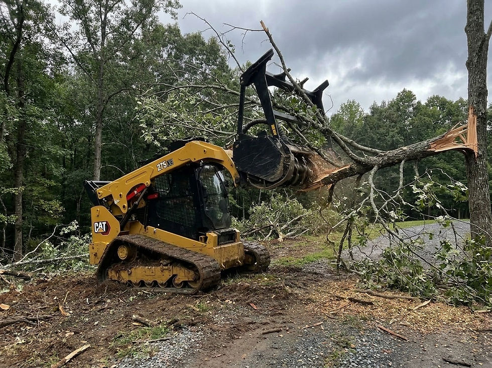 CAT skid steer performing storm cleanup, removing fallen tree