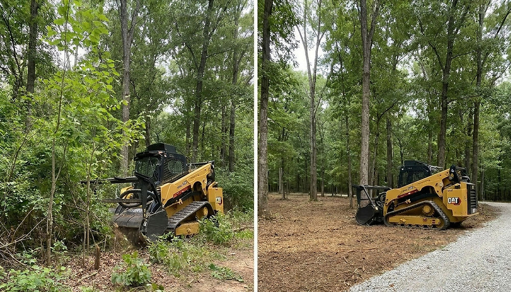 Land clearing: skid steer in dense woods, then cleared ground.