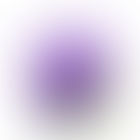 Professionnelles du bâtiment