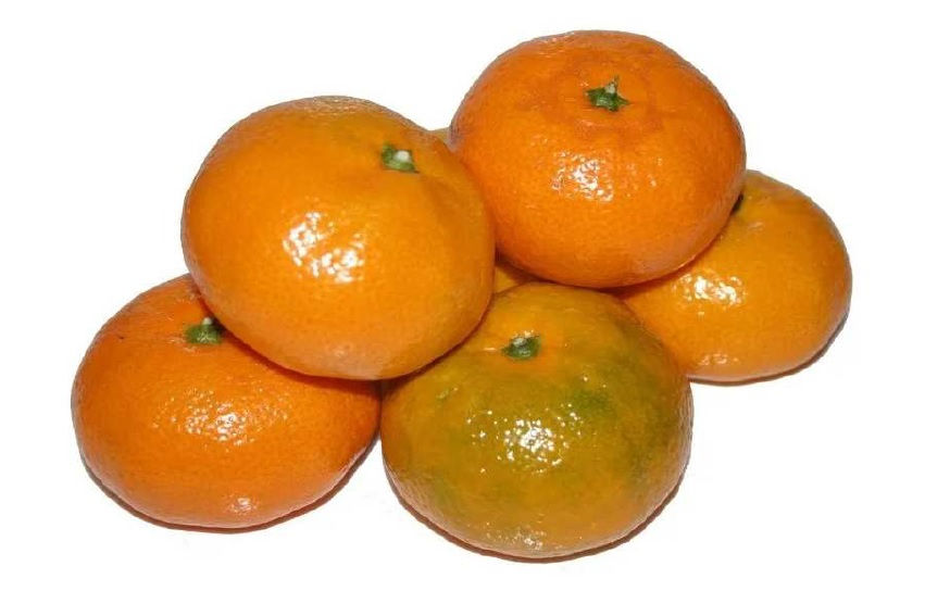Mandarina Madura (Lb)