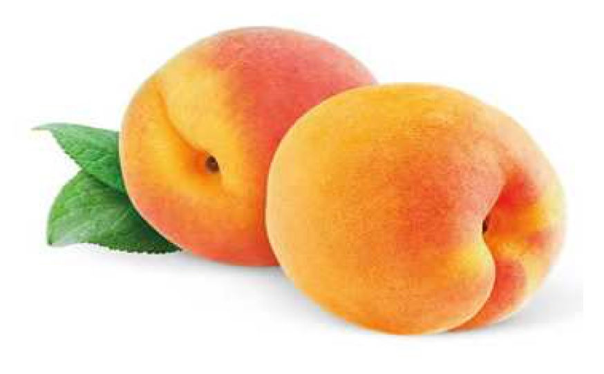 ree