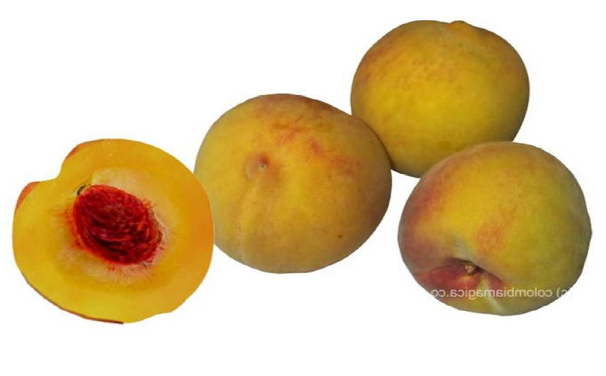 Durazno Criollo (Lb)