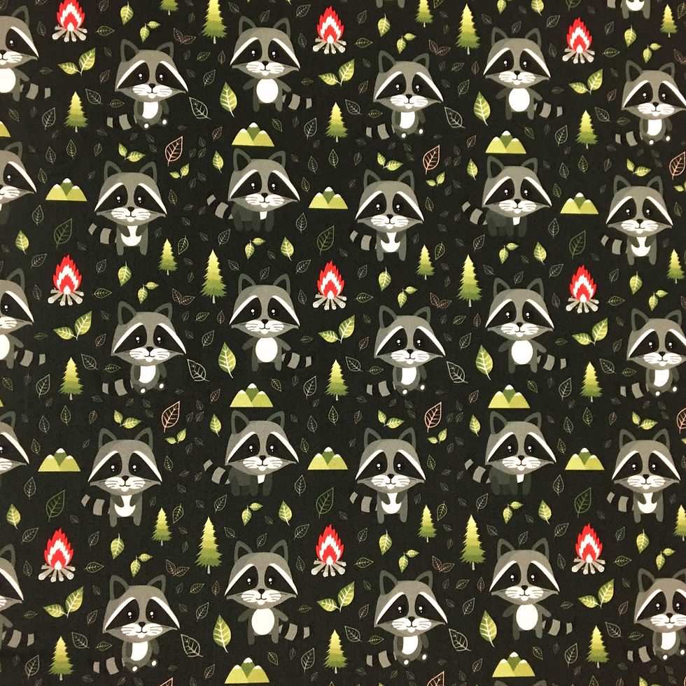 RACCOON