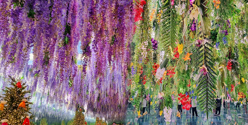春暖花開首爾行5天團