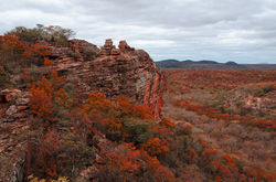 Parque Nacional da Serra da Capivara