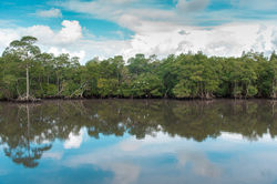 Canal de Bertioga - SP