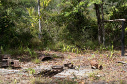 Garimpeiros no Tepequém