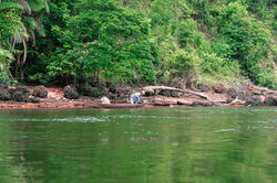 Pescador e roceiro na Ilha de Ingapijó