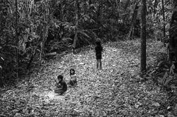 Crianças wapichana brincando na floresta