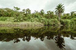 Rio Roncador - Pantanal dos Marimbus - BA