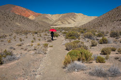 Quebrada de Humahuaca