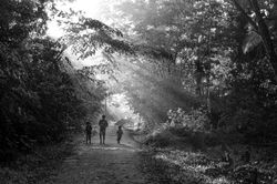 Crianças guarani ao amanhecer