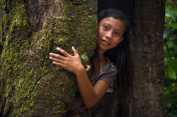 Wapichana - TI São Marcos