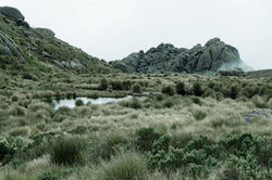 Parque Nacional de Itatiaia