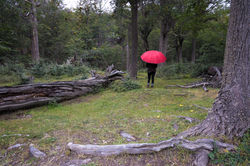 La chica del paraguas rojo en el Fin del mundo