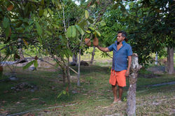 Wapichana - TI São Marcos