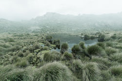 Parque Nacional de Itatiaia