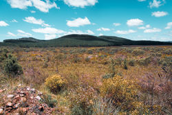 Parque Nacional da Serra Geral