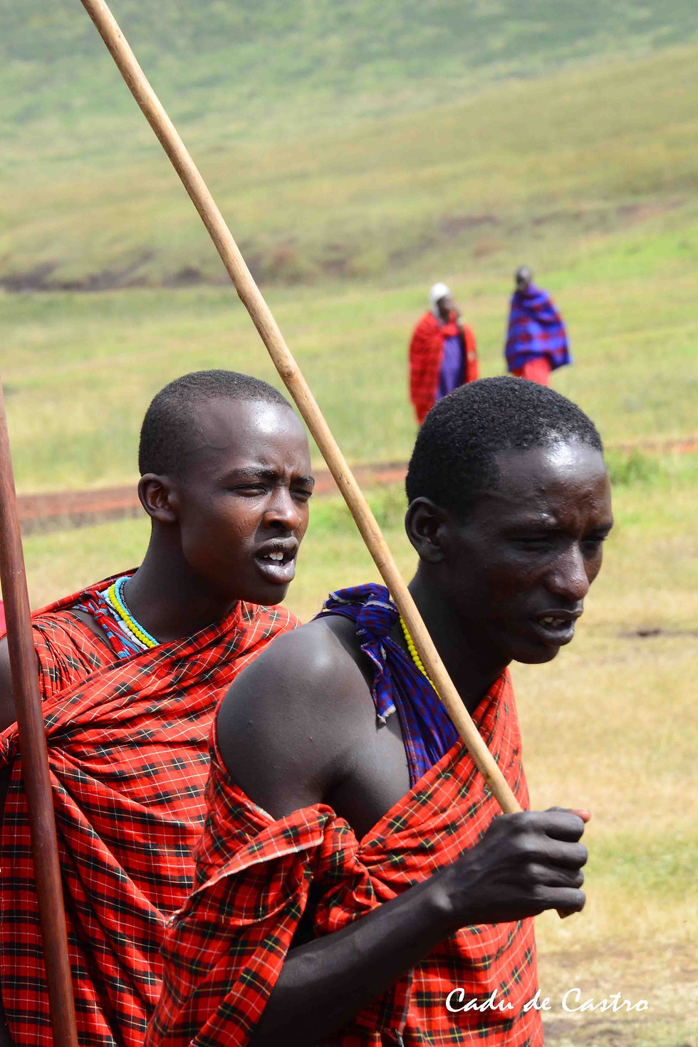 Pastores e guerreiros masai