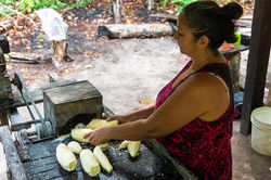 Joana ralando a mandioca para fazer farinha