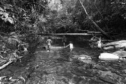 Crianças wapichana brincando no igarapé