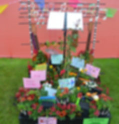 DSC_0271.jpeg