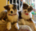 image2.jpeg