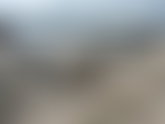 3D-gedruckte Bio-Riffe: Wie gedruckter Beton der Ostsee hilft