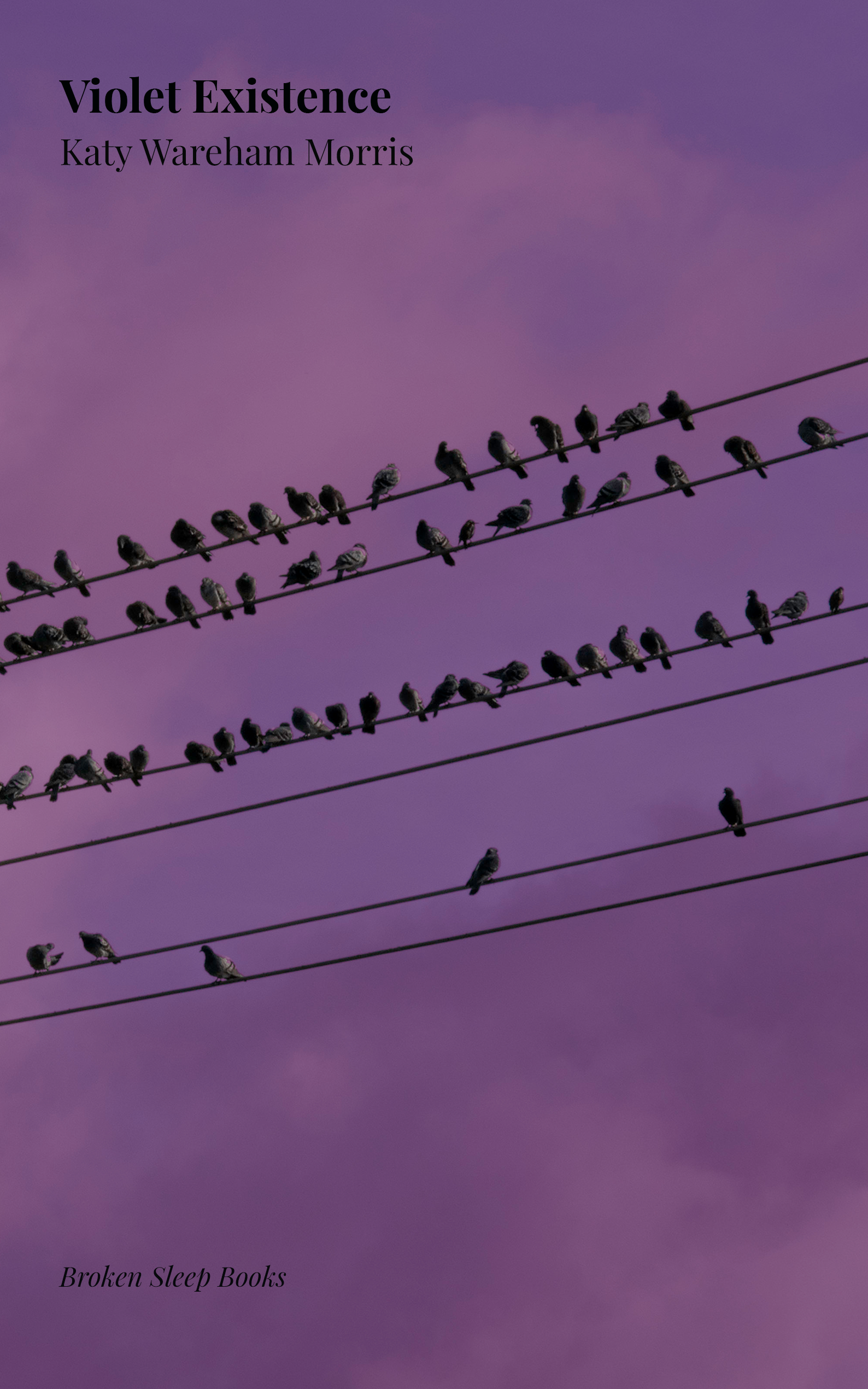 Katy Wareham Morris - Violet Existence