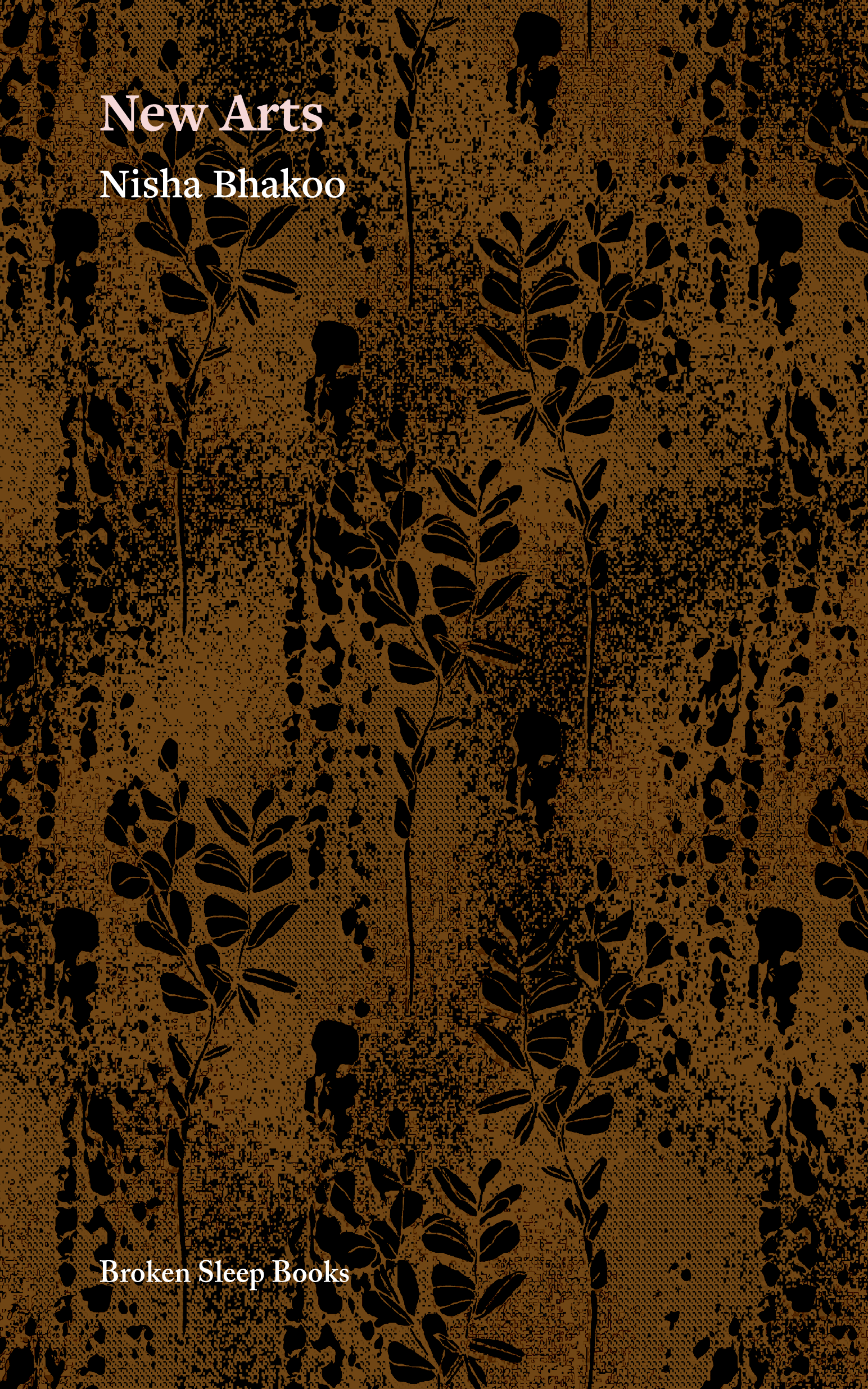 Nisha Bhakoo - New Arts