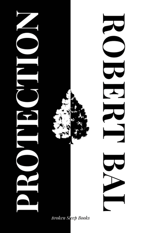 Interview with Robert Bal