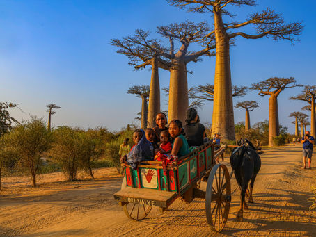 Z juhu na sever - Balíček