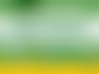 Center for Peace and Environment Secretary/Staff