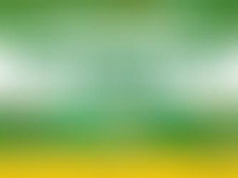 JUNIOR HIGH SCHOOL TEACHER