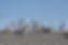 a flock of gray and white pigeons stand on a gray rooftop against a blue sky