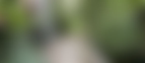 Průzkum území...listopad 2018