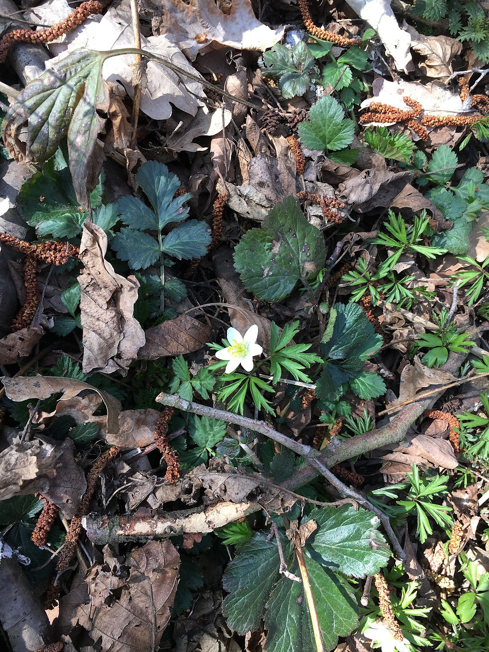 Nic není nemožné...březen 2019