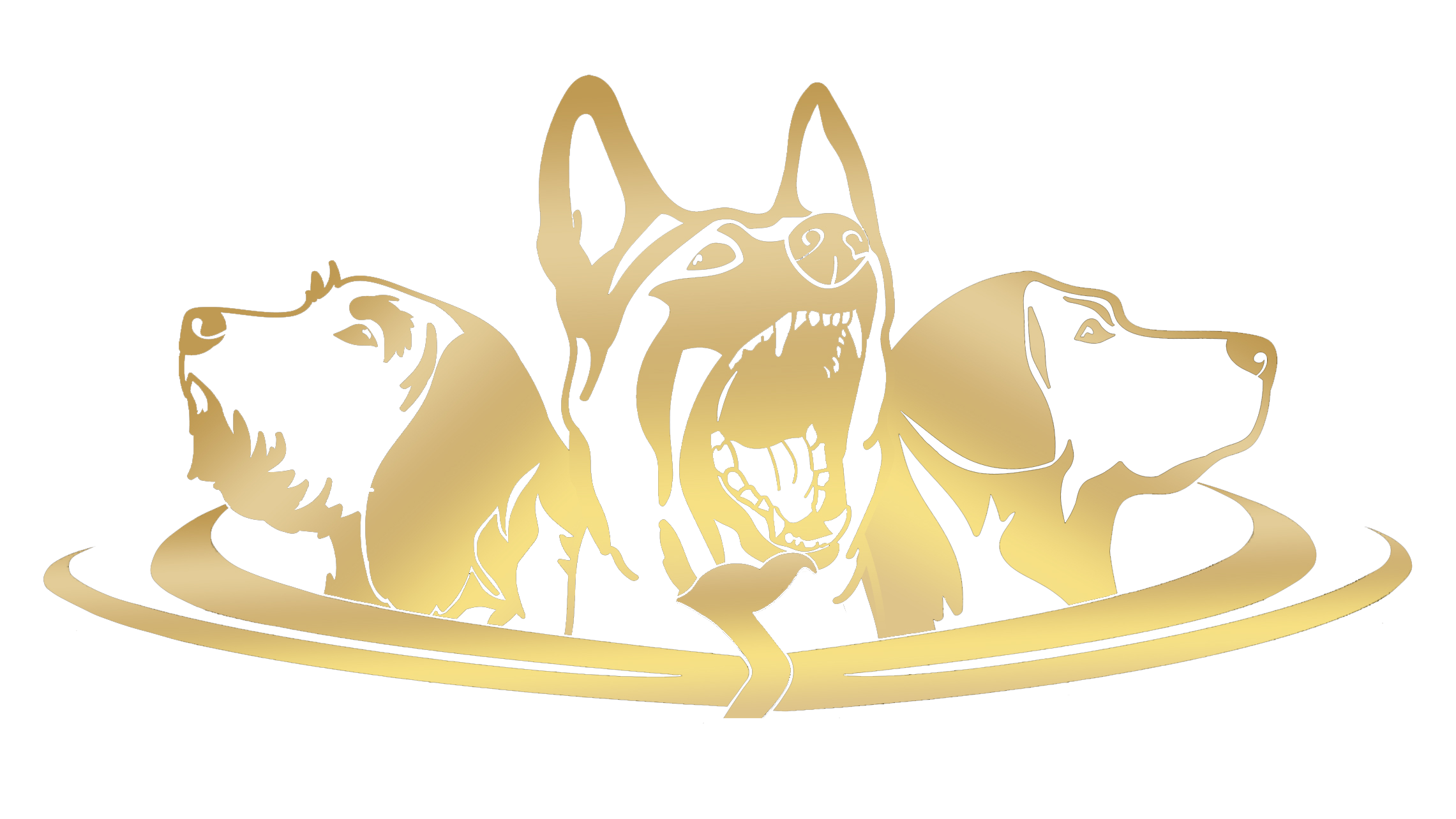 Phoenix K9 Dog Training ALL Breeds ALL Behavioral Issues phoenix-k9-dog-training-all-breeds-all-behavioral-issues