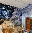 00_TAS_Wall Vinyl Wrap_Pittwater HS.jpg