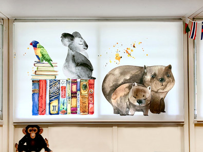 granville south ps -blinds - library - edugrafix