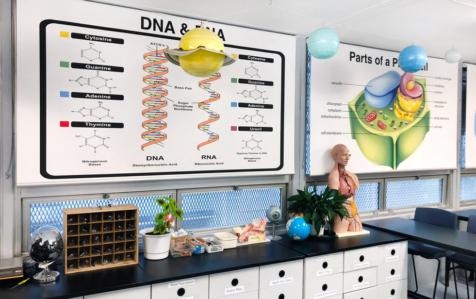 Blacktown girls High - custom printed blinds - edugrafix